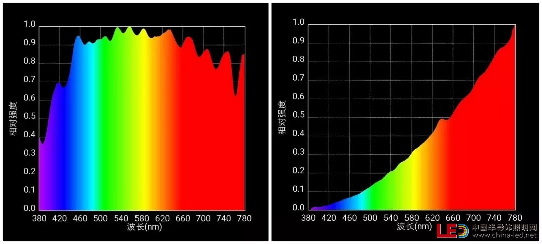 10.webp.jpg